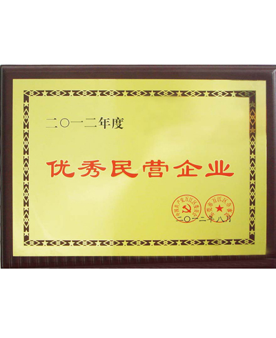 优秀民营企业
